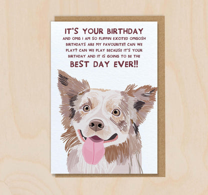 Birthday Card From The Dog - Border Collie Beige - Funny Greeting Card For Dog Mum Dad Lover Owner