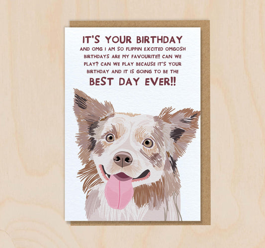 Birthday Card From The Dog - Border Collie Beige - Funny Greeting Card For Dog Mum Dad Lover Owner