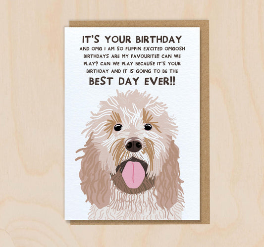 Birthday Card From The Dog - Cockapoo -  Funny Greeting Card For Dog Mum Dad Lover Owner