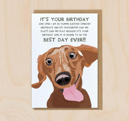 Birthday Card From The Dog - Dachshund Tan-  Funny Greeting Card For Sausage Dog Mum Dad Lover Owner