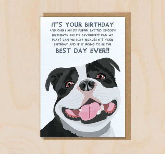 Birthday Card From The Dog - Staffy Black White - Funny Greeting Card For Dog Mum Dad Lover Owner